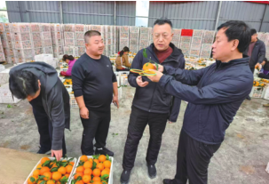 EVO视讯·(中国区)官方网站